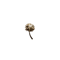 Achterzijde bloem broche rood roze goud