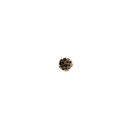 pin zwart goud bloem
